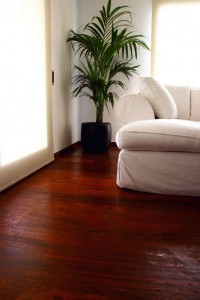 Parquet Caoba